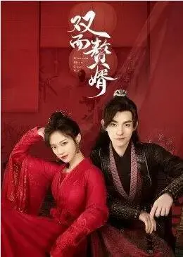 《双面赘婿》：反套路爽文！谁说赘婿就不能有林志玲颜值，还能玩转生存？