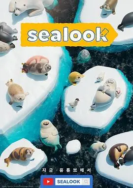 《海豹看看》：这健身教程和体育综艺，看一眼就想练出八块腹肌！